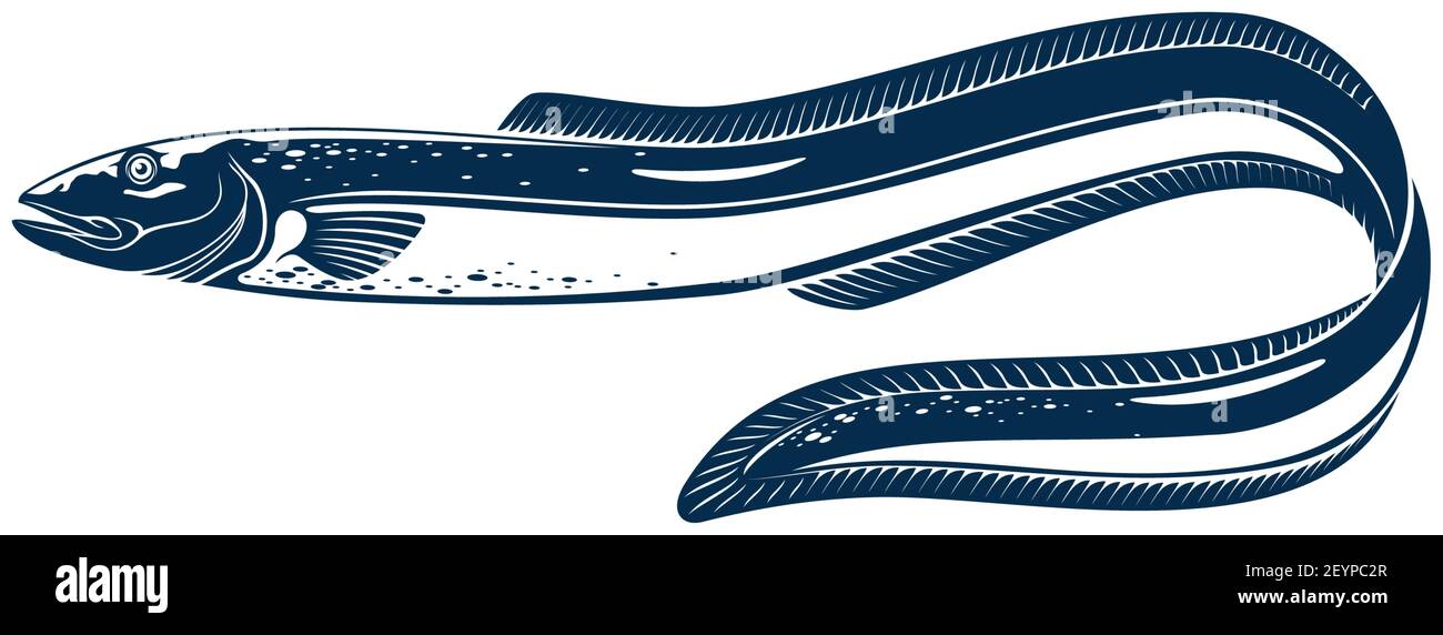 Aal-Form Fisch isoliert monochromes Symbol. Vector Meer elektrischer Aal, marine Unterwasser Tier. Messerfisch Elektrophorus electricus, exotische Fische bewohnen Fr. Stock Vektor