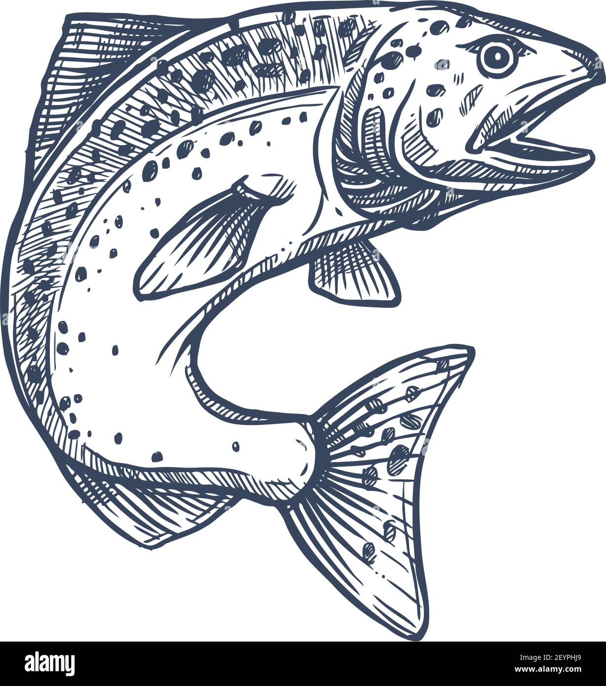 Atlantischer Lachs-Rochenflocken-Fisch in der Familie Salmonidae isolierte monochrome Skizze. Vector Forelle, Saibling, Äsche und Weißfische im Sprung, Angeln Sport tro Stock Vektor