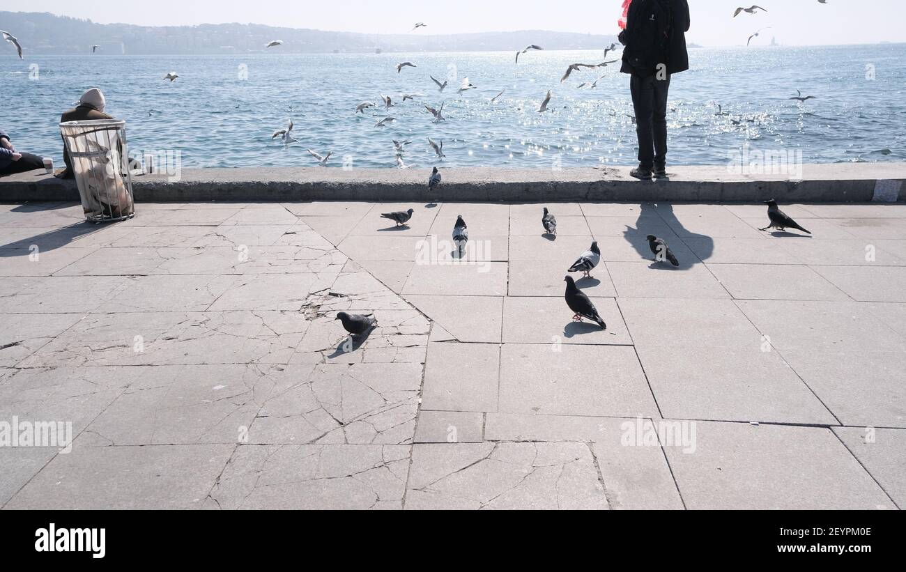 Türkei. Bosporus istanbul. Menschen, Touristen sitzen auf Betonstein in Ufer bosporus. Sie fotografieren und füttern Möwen und Tauben und Tauben Stockfoto