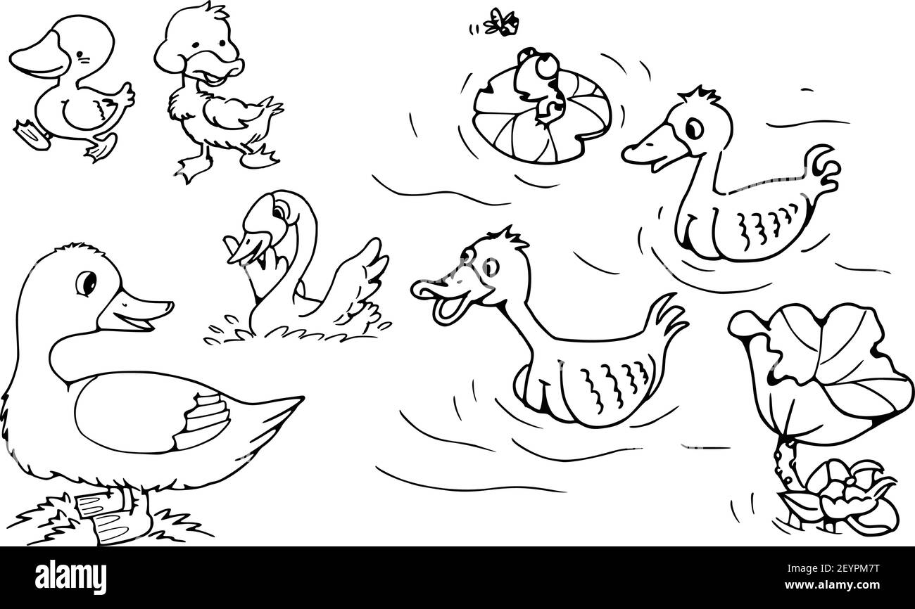 vektor Cartoon Enten Familie Action-Set Stock Vektor