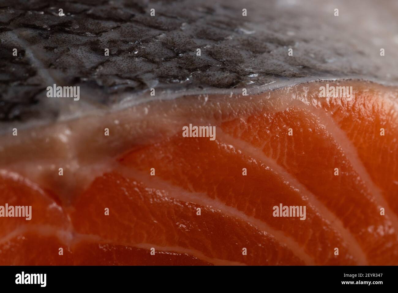 Nahaufnahme eines Lachsfilets mit Haut als Gewürz für eine gesunde, kohlenhydratarme Ernährung mit weniger Fett verwendet Stockfoto