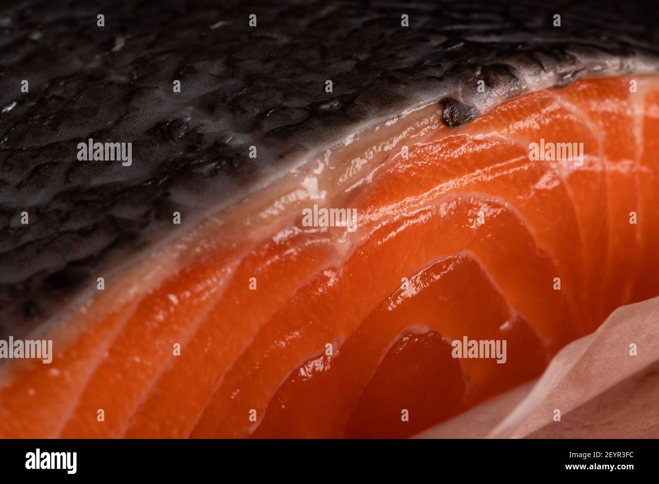 Nahaufnahme eines Lachsfilets mit Haut als Gewürz für eine gesunde, kohlenhydratarme Ernährung mit weniger Fett verwendet Stockfoto