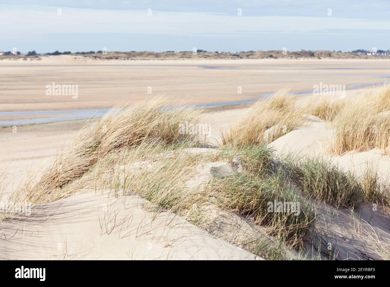 Dünen von Pointe du Becquet in der Bucht von Havre de St Germain Sur Ay, Creances, Cotentin, Manche, Frankreich Stockfoto