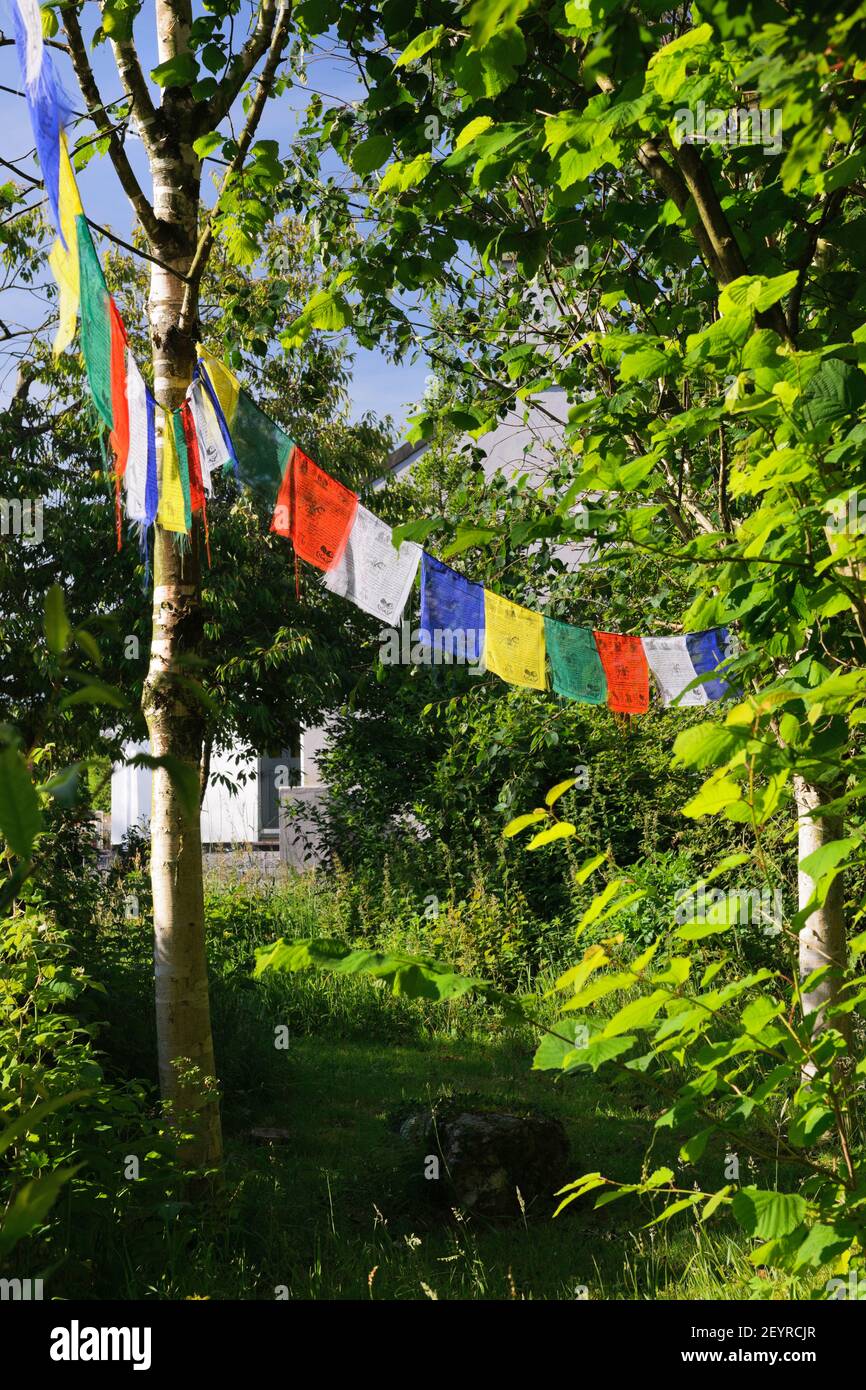 Gebetsfahnen hingen zwischen Birken in einem Waldgarten in Nordwales. Stockfoto