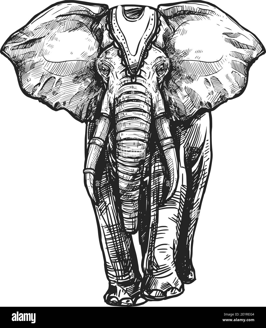 Buddhismus religiöses Symbol, weißer Elefant. Buddhistische Anbetung