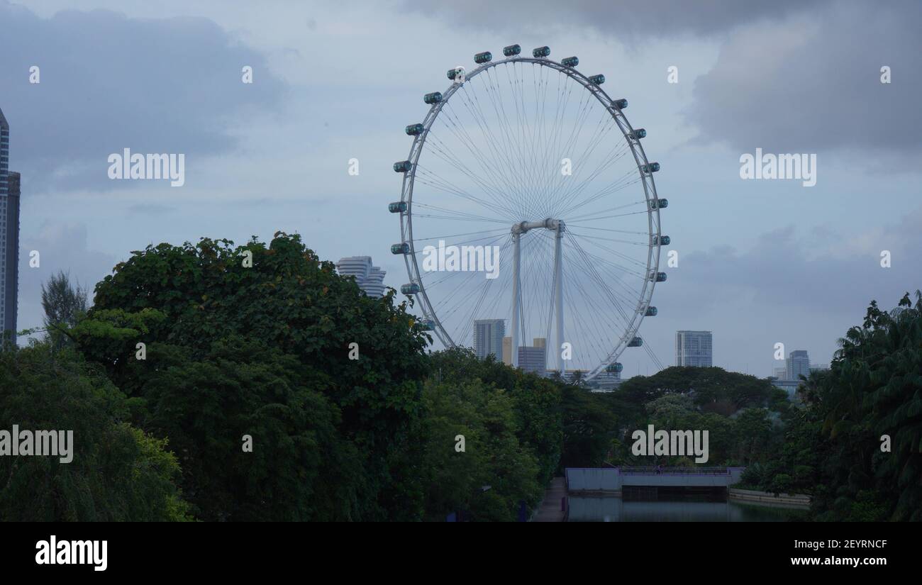 Schöne Farben der Natur mit kleinen Details erforscht Stockfoto