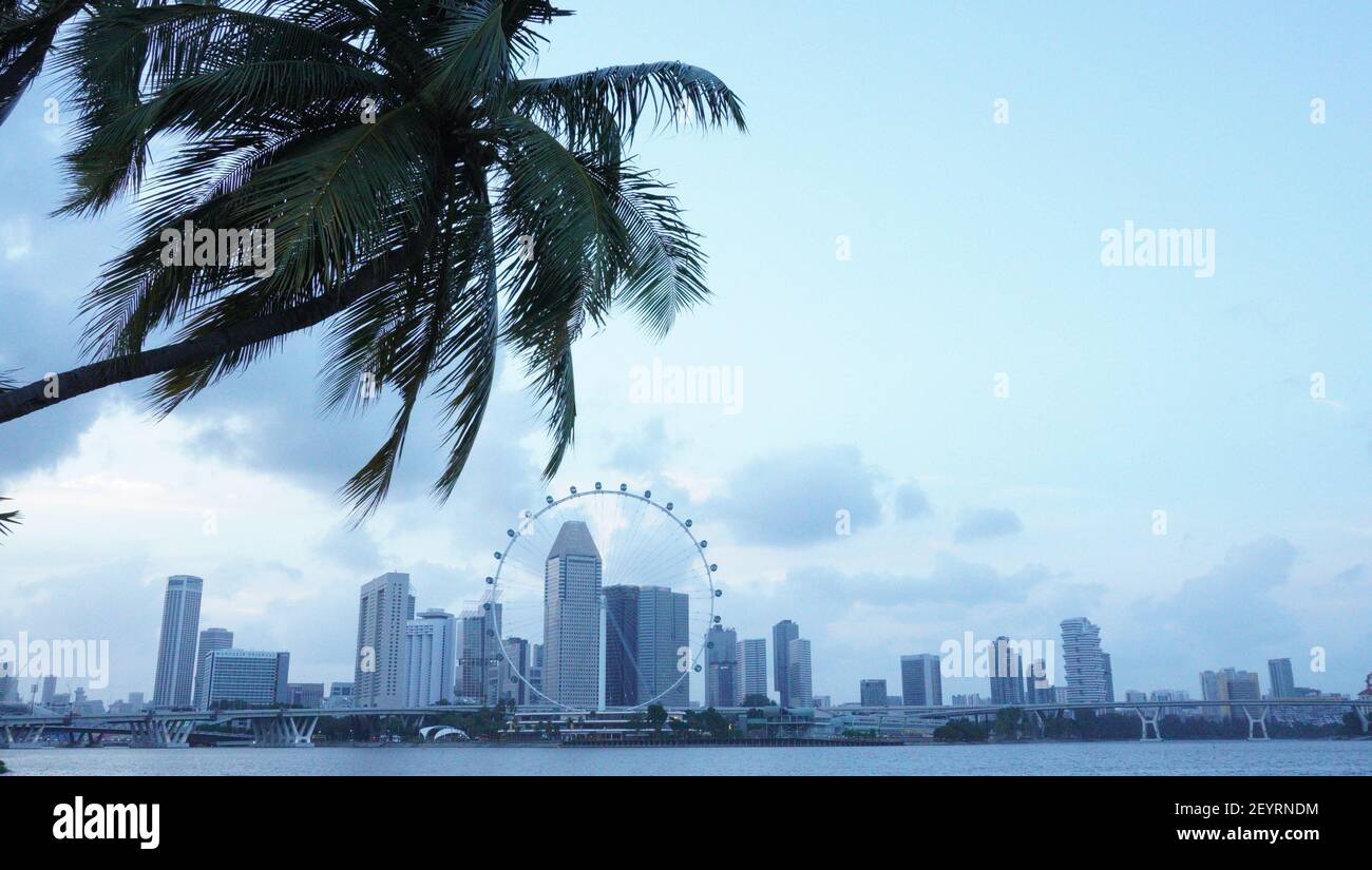 Schöne Farben der Natur mit kleinen Details erforscht Stockfoto