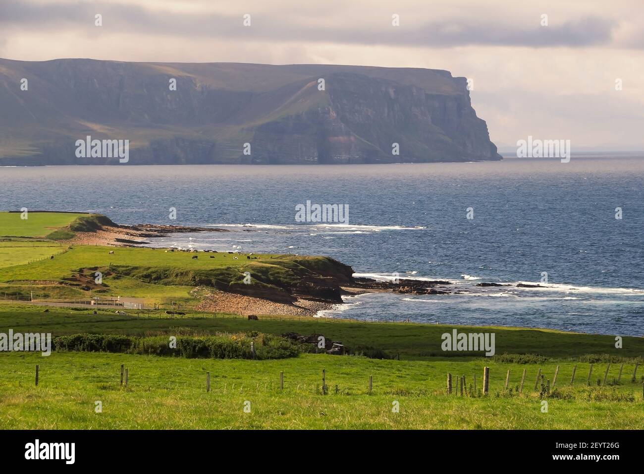 Grünes Gras Ackerland auf schottischen Inseln Küste mit Klippen und Atlantischer Ozean Gewässer im Hintergrund Stockfoto