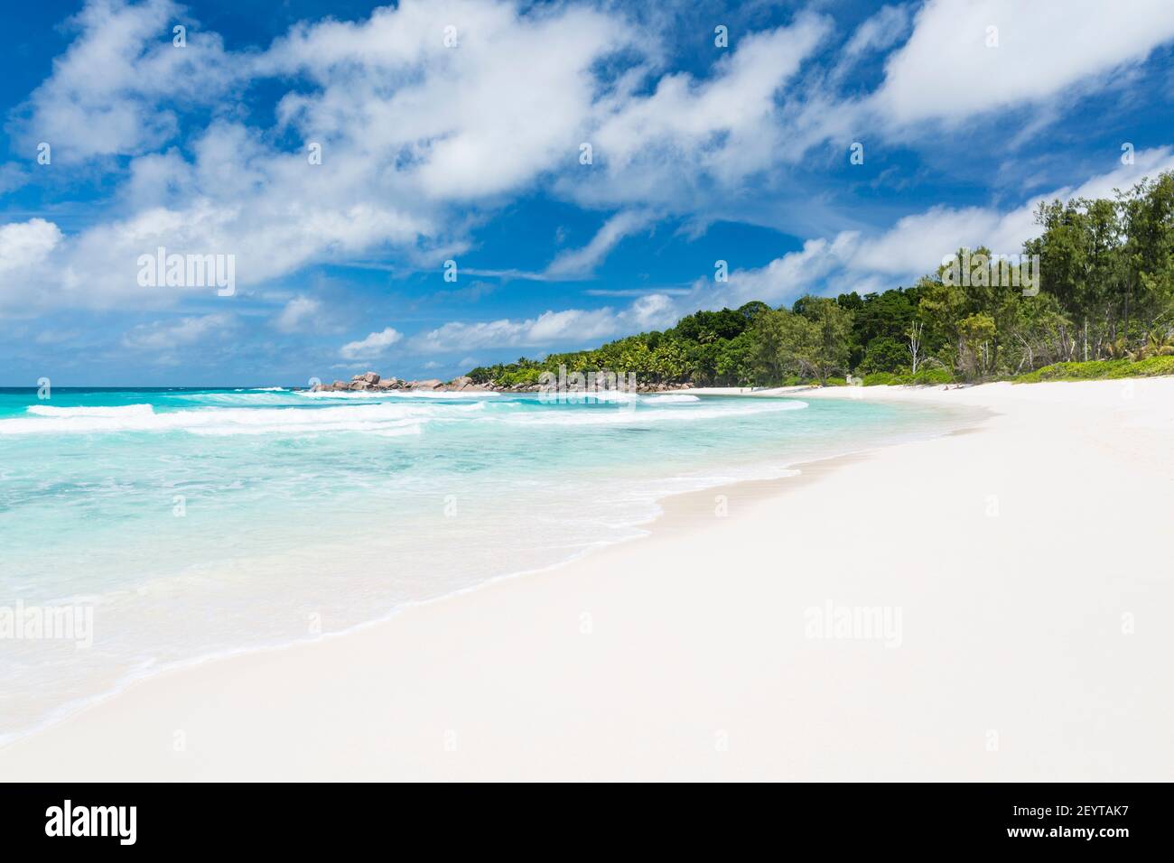 Makelloser weißer Strand in La Digue, Seychellen mit Palmen und smaragdgrünem Wasser Stockfoto