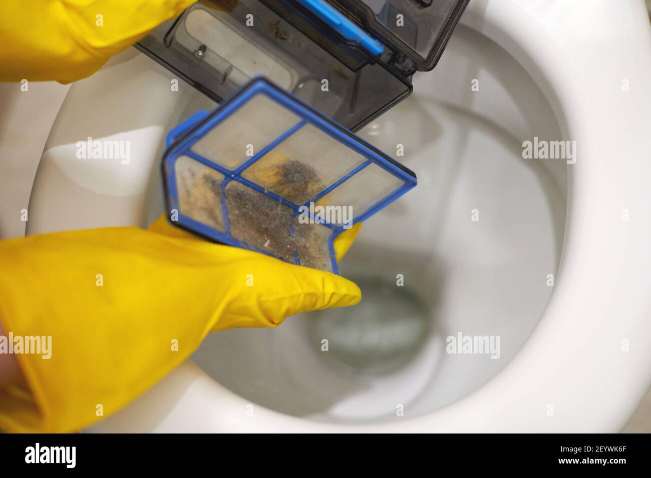 Hände in Schutzhandschuhe, die Müll aus dem Roboter-Staubsauger-Filter in  der Toilette werfen. Werfen Sie keine Abfälle und Fremdkörper in die  Toilette Stockfotografie - Alamy