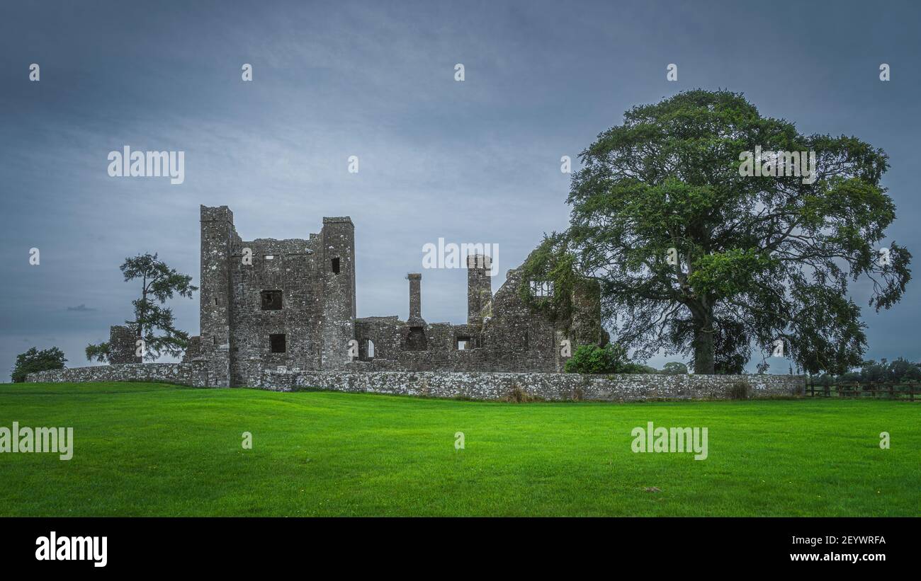 Alte Ruinen der Christian Bective Abbey aus dem 12th. Jahrhundert mit großem grünen Baum und Feld, launisch dunklen Himmel im Hintergrund, County Meath, Irland Stockfoto