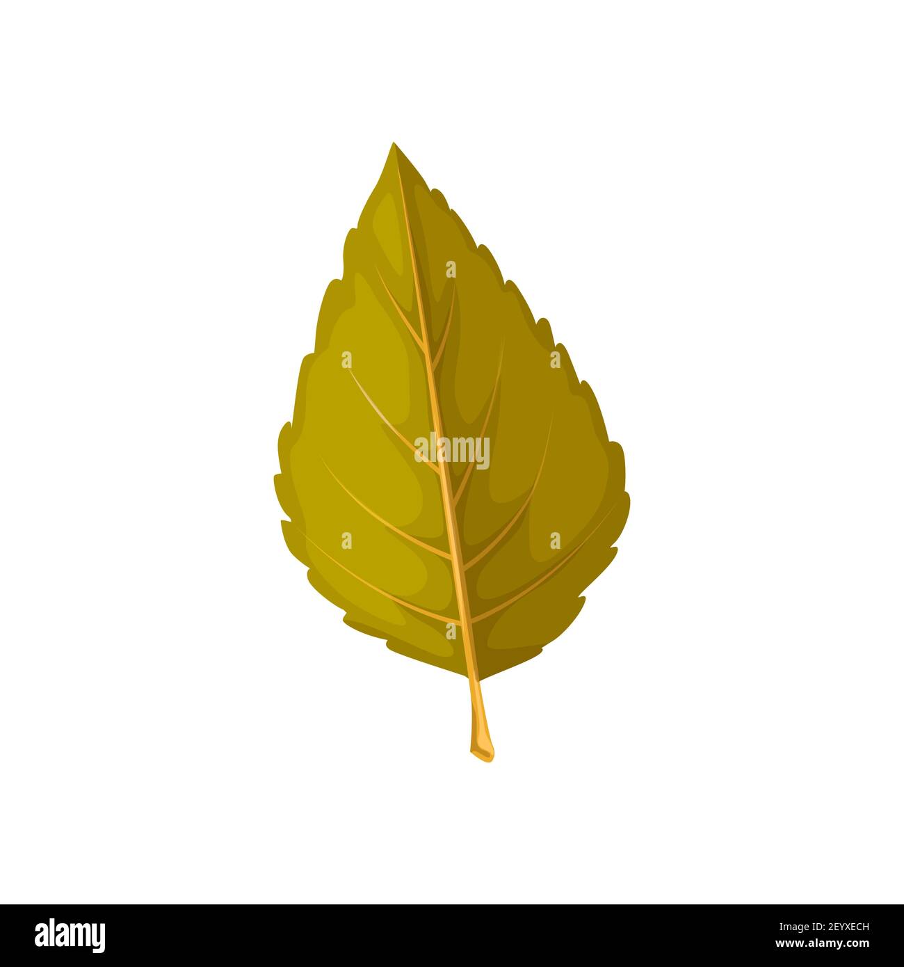 Blatt des Herbstbaums, Ulmenblatt und Herbstlaub, Vektor isolierte Ikone. Trockenes Herbstblatt von Ulmenbaum, Naturwald und Pflanzen Blätter Stock Vektor
