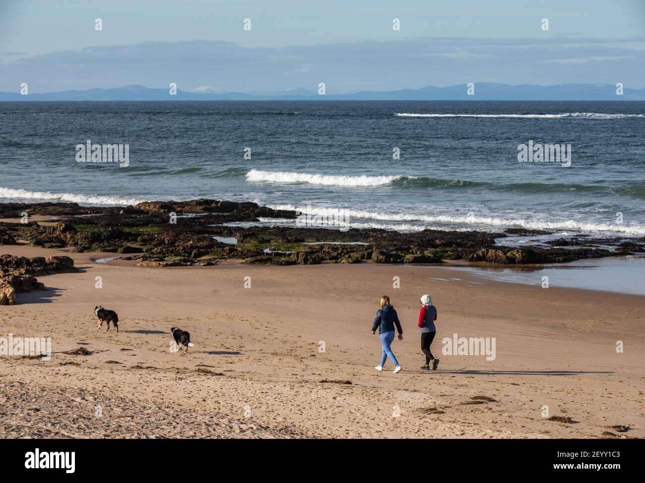 Hundeschlittenführer am Lossiemouth Beach in der Nähe von Elgin, Schottland Stockfoto