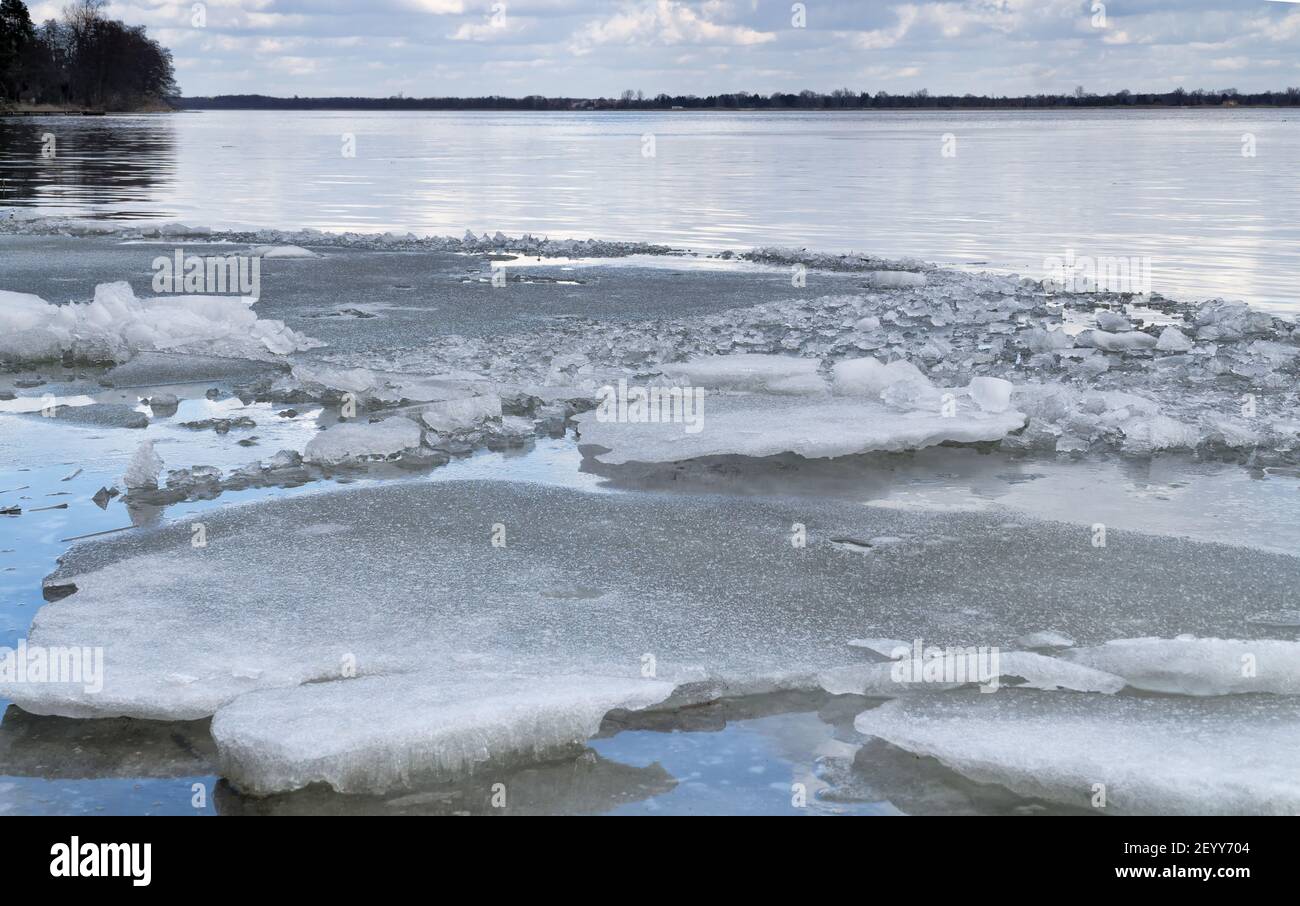 Floh in der Nähe des Flussufers. Der Fluss Narew bei Serock in Polen im Frühjahr. Stockfoto