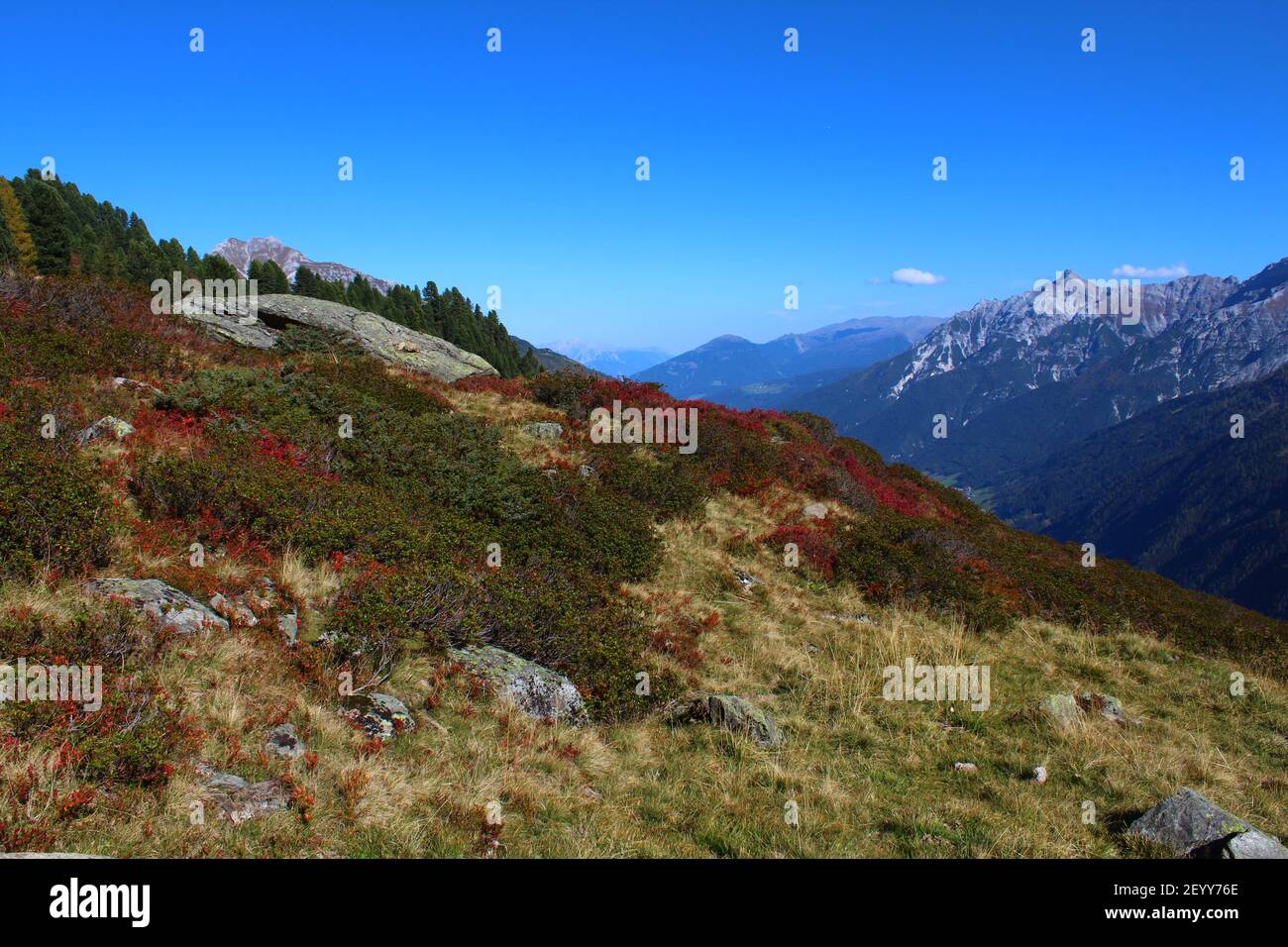 Alpenblick in Neustift Stockfoto