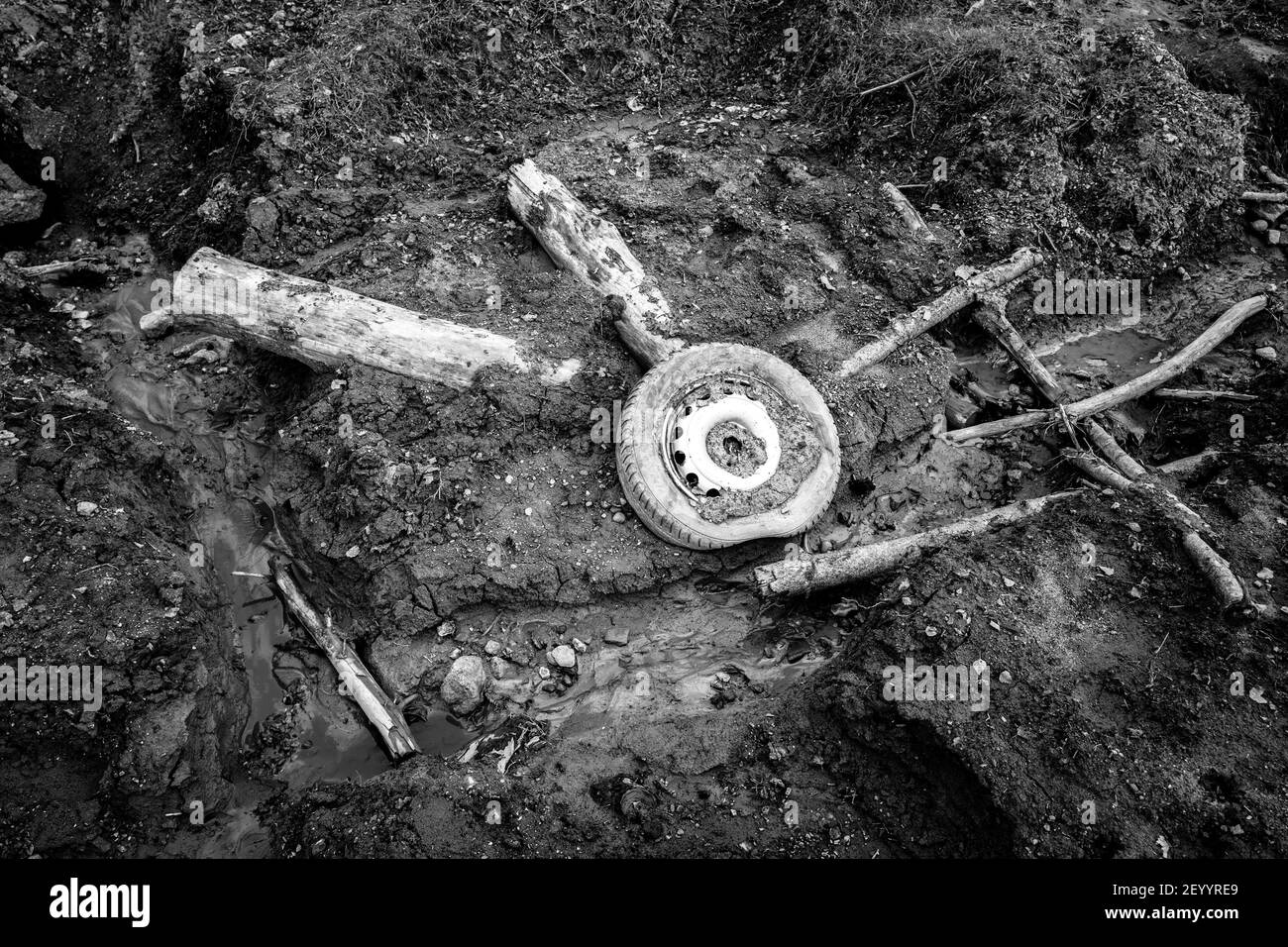 Verfallende Baumstämme und Autorad mit Reifen in einem Graben mit verschmutztem Wasser. Stockfoto