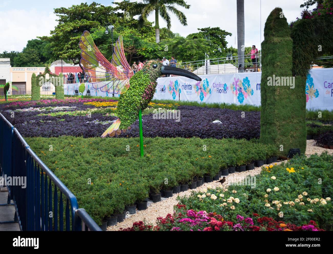 Ausstellung von Blumen- und Pflanzenskulpturen in Merida, Yucatan, Mexiko. Kolibri Pflanze Skulptur umgeben von Blumenbeeten. Stockfoto
