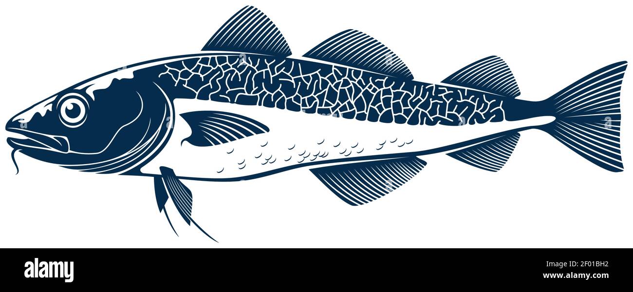 Codfish Süßwasser Gamefish Fisch isoliert monochrome Symbol. Vektor europäisch, Balkhasch oder gelben Barsch, Fluss oder See Tier, Walleye Zander oder scumbida Stock Vektor