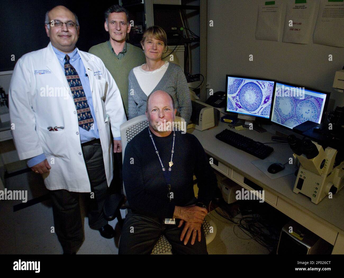 Von links stehend standen Dr. Ajay Nangia, Dr. Gustavo Blanco, Dr. Leslie Heckert mit Dr. Joseph Tash zusammen, während er in der Nähe eines Mikroskops mit vorher-Nachher-Aufnahmen von Testes sitzt, die am 1. Februar 2012 im medizinischen Zentrum der Universität von Kansas in Kansas City, Kansas, mit Kontrazeptiva behandelt wurden. FORSCHER VON KU Medical testen neue Medikamente als mögliche männliche Kontrazeptiva. (Foto von Shane Keyser/Kansas City Star/MCT/Sipa USA) Stockfoto