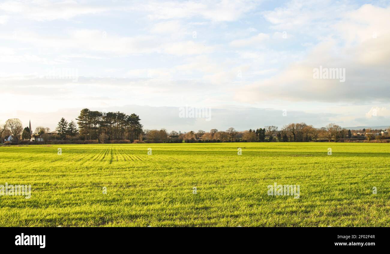 Grünes Feld in der Landschaft, Kirche auf der linken Seite, mit einem kleinen Wald in der Mitte, dann ganz rechts sind 2 wichtigsten Leicester University Gebäude. Stockfoto