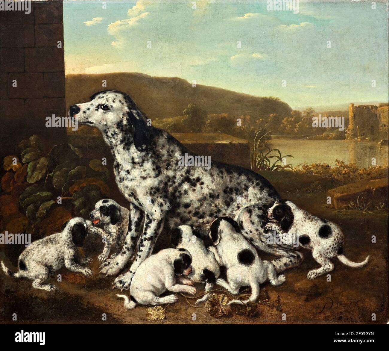 Pieter van der Hulst - dalmatinischer Hund mit Welpen 0030NMK. Stockfoto