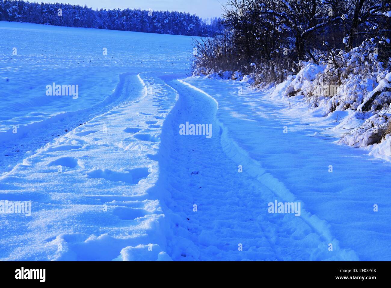 Dramatische Landschaft kalten und frostigen Tag Stock Foto Stockfoto