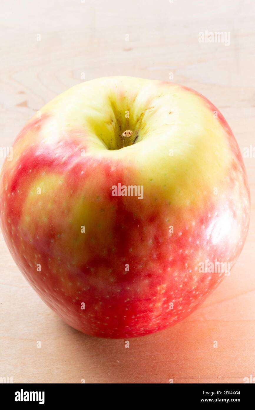 Der HoneyCrisp Apple wurde von der University of Minnesota, USA, entwickelt Stockfoto