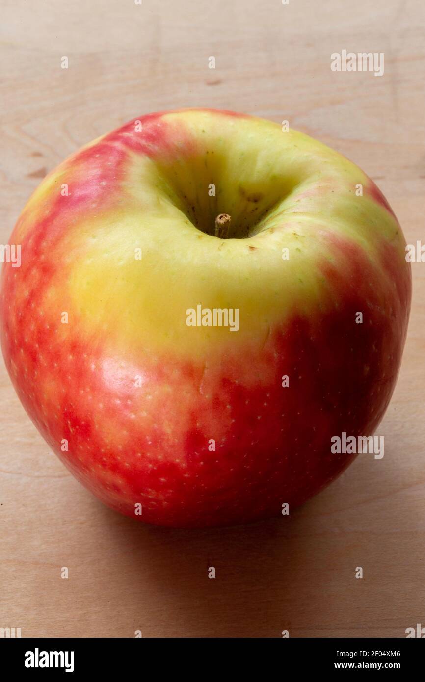 Der HoneyCrisp Apple wurde von der University of Minnesota, USA, entwickelt Stockfoto