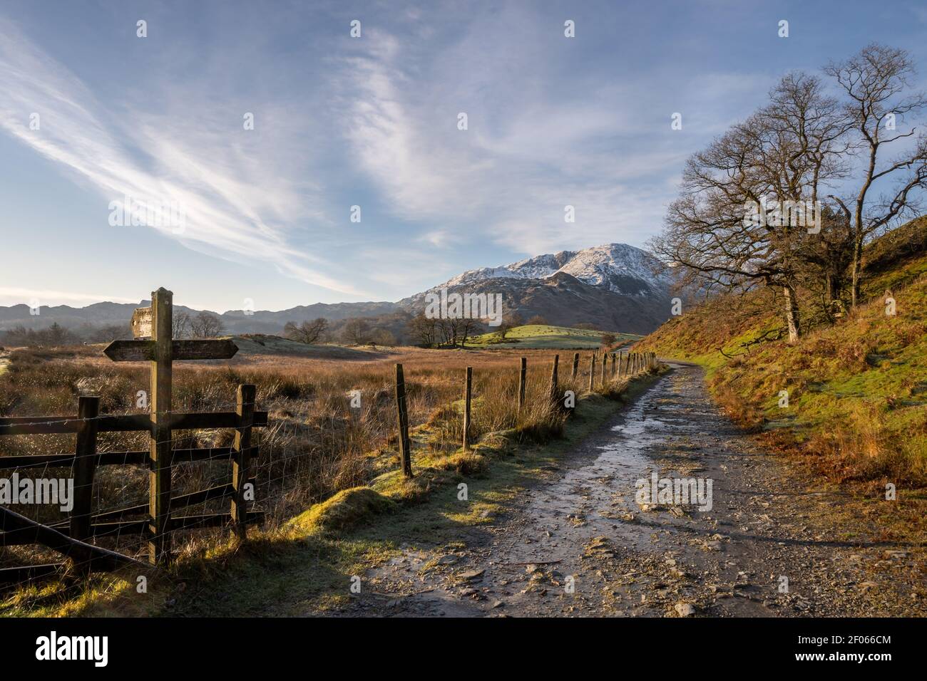 Blick auf Wetherlam vom Elterwater zum Little Langdale Track Stockfoto