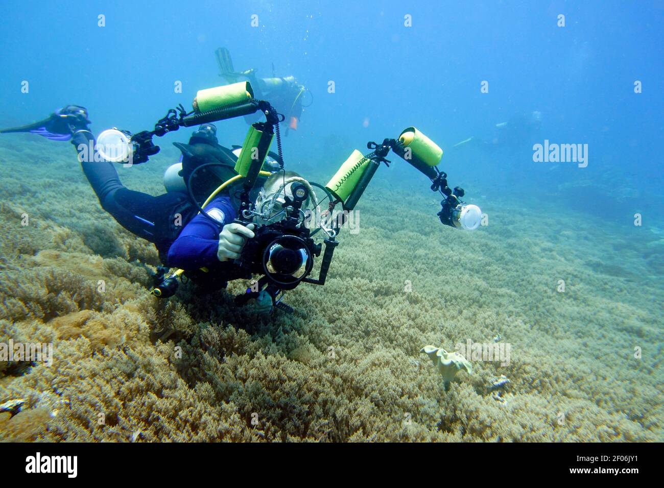 Taucher mit Unterwasserkamera, Nord-Molukken, Halmahera, Indonesien, Siko Stockfoto