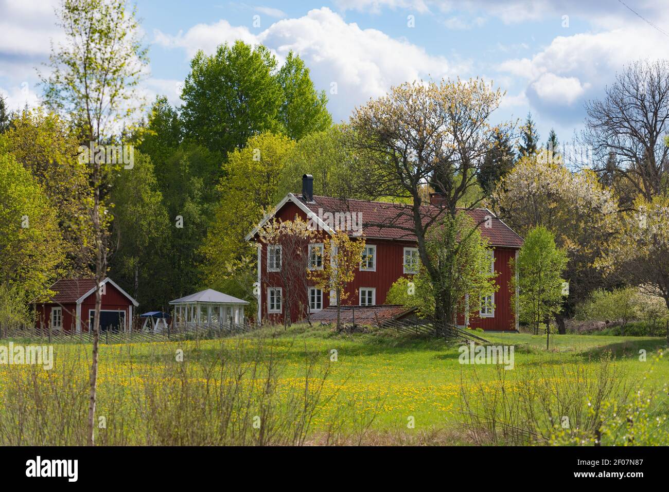 Frühling in Schweden Stockfoto