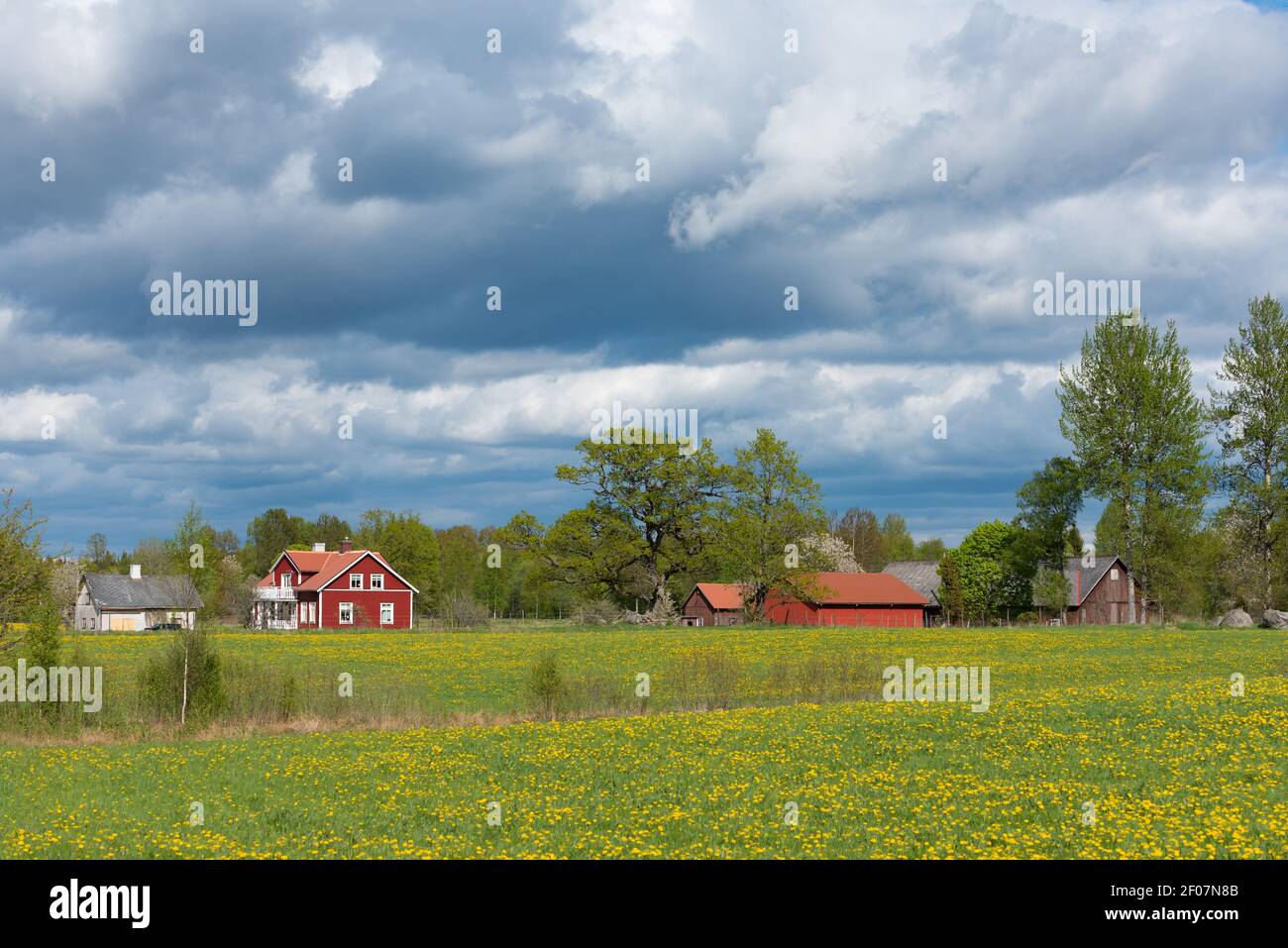 Bauernhof in der schwedischen Landschaft Stockfoto