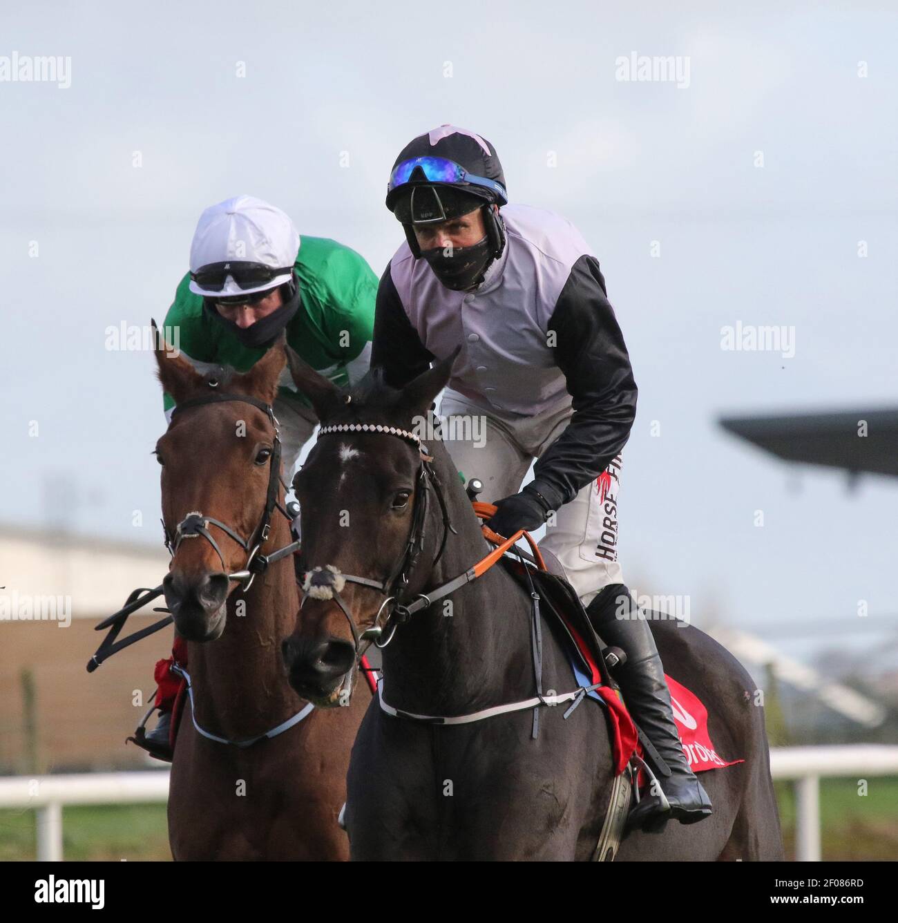 Pferderennen Großbritannien und Irland.Down Royal Racecourse, Lisburn, Nordirland. 31. Oktober 2020. Nationales Jagdtreffen. Das Ladbrokes Festival of Racing (Tag 2) Feature-Rennen war der Ladbrokes Champion Chase (Klasse 1) mit €75.000 für den Sieger und hielt hinter verschlossenen Türen.Rennpferd Chris's Dream auf der rechten Seite von Robbie Power geritten und von Henry De Bromhead trainiert, mit Presenting Percy auf der Innenseite, Gefahren von Denis O'Regan und trainiert von Gordon Elliott. Stockfoto