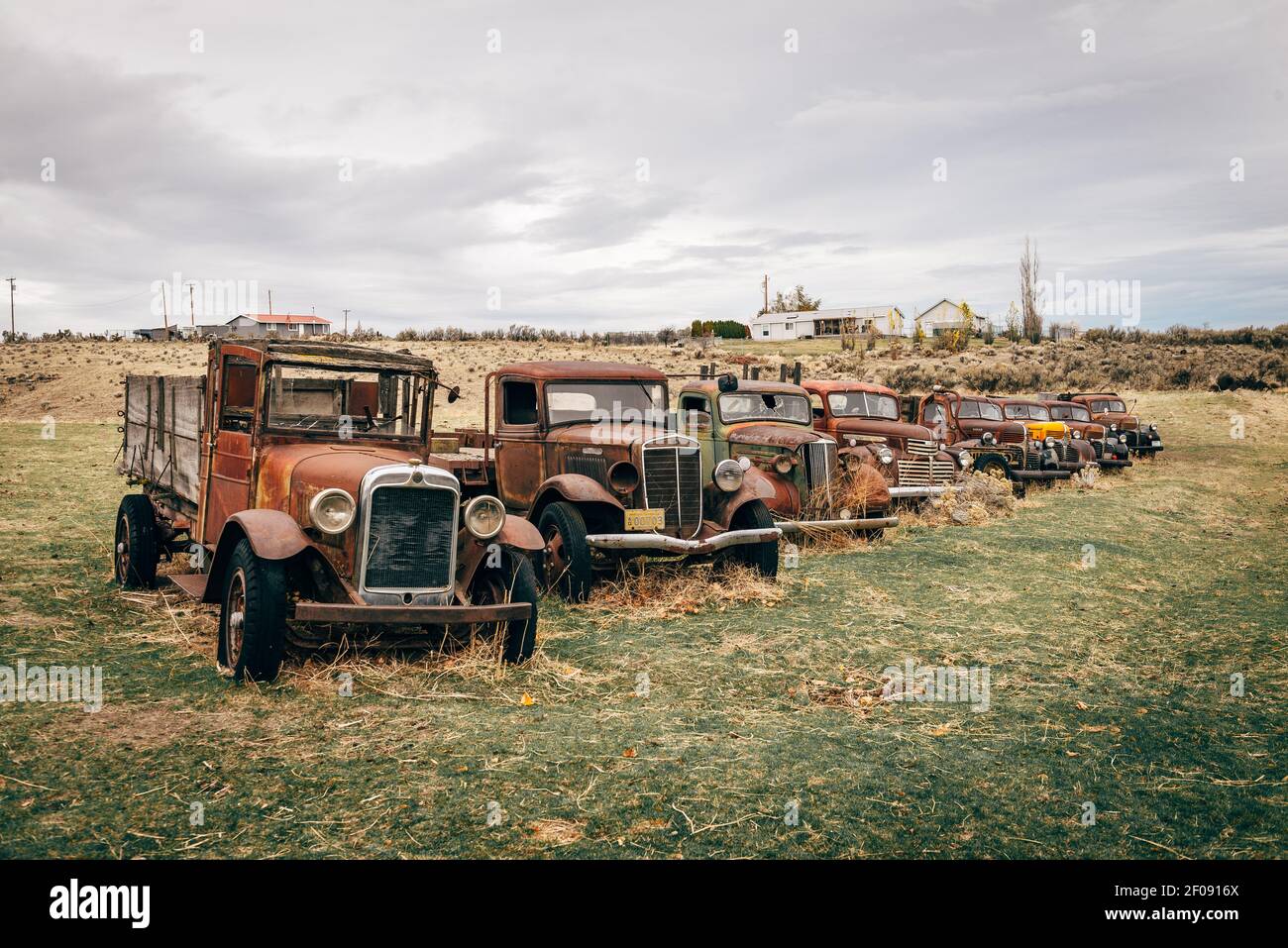 Verlassene Lastwagen aus Grass Valley, Oregon Stockfoto