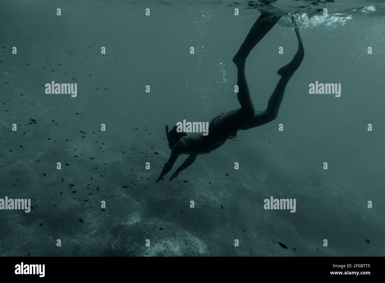 Mann schwimmt unter Wasser im Schnorchel Stockfoto