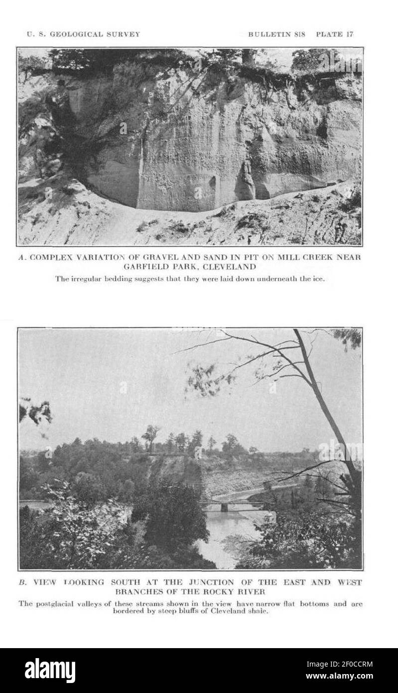 Platte 17 Einbettebenen. Stockfoto