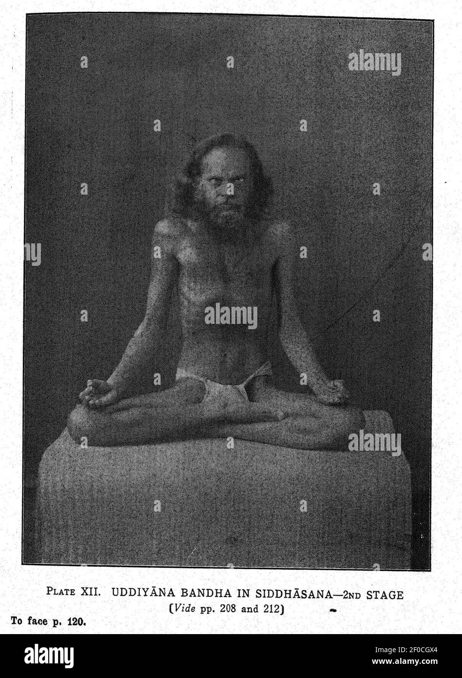 Platte XII. Uddiyana Bandha in Siddhasana - 2nd Stadium. Stockfoto Platte XII. Uddiyana Bandha in Siddhasana - 2nd Stadium. Stockfoto