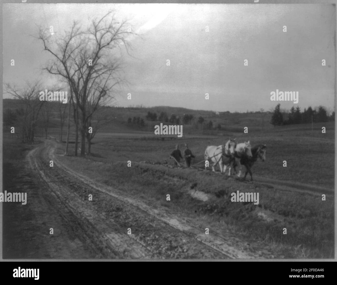 Pflügen Mary's Feld Stockfoto