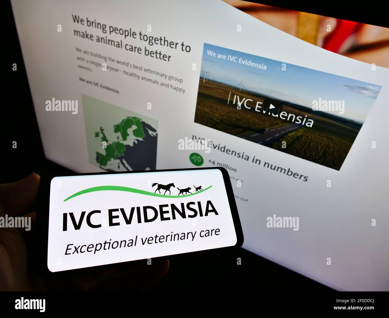 Person, die Smartphone mit Logo der britischen Veterinär-Service-Unternehmen IVC Evidensia auf dem Bildschirm vor der Webseite. Fokus auf Handy-Display. Stockfoto