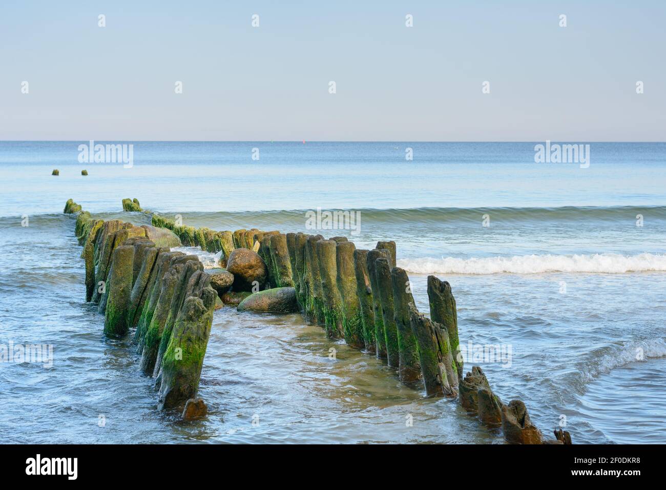 Alte Reihe von Holzpfählen Wellenbrecher im Meer. Grüne Algen und weiche Welle. Wunderschöne Meereslandschaft. Stockfoto