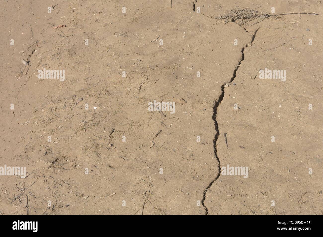 Riss im trockenen Boden im Frühjahr. Bodenstruktur, Sonnenlicht. Kopierbereich, selektiver Fokus. Stockfoto