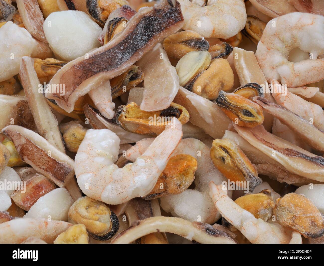 Gefrorene Meeresfrüchte mischen Hintergrund mit Garnelen, Muscheln und Tintenfisch Stockfoto
