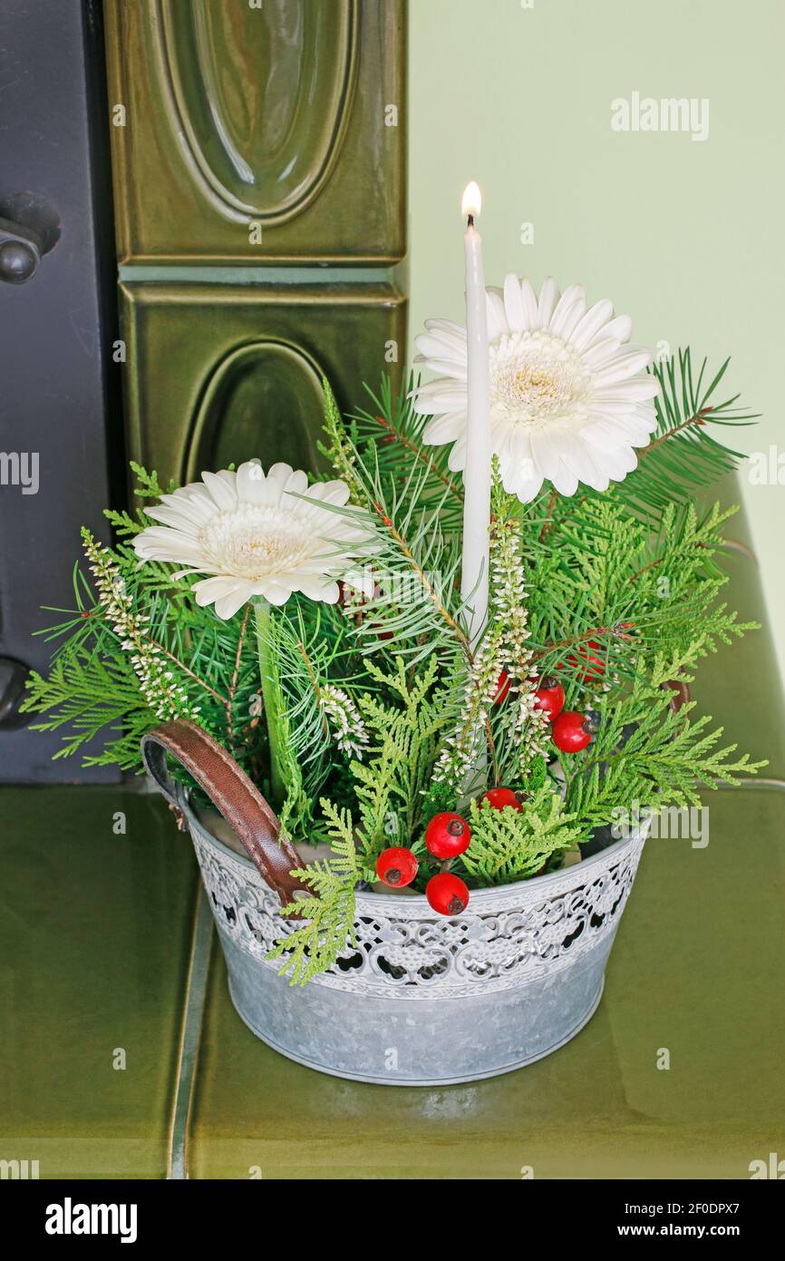 Einfache Tischdekoration für Weihnachten mit Gerbera Blumen und  Tannenzweigen. Festliche Einrichtung Stockfotografie - Alamy