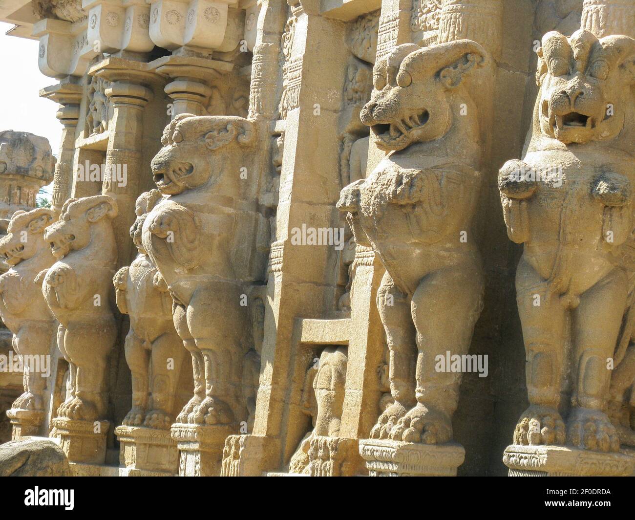 Selektives Fokusbild einer tierförmigen Skulpturen, auf die geschnitzt wurde Die Mauern der Hindu-Gottestempel Stockfoto