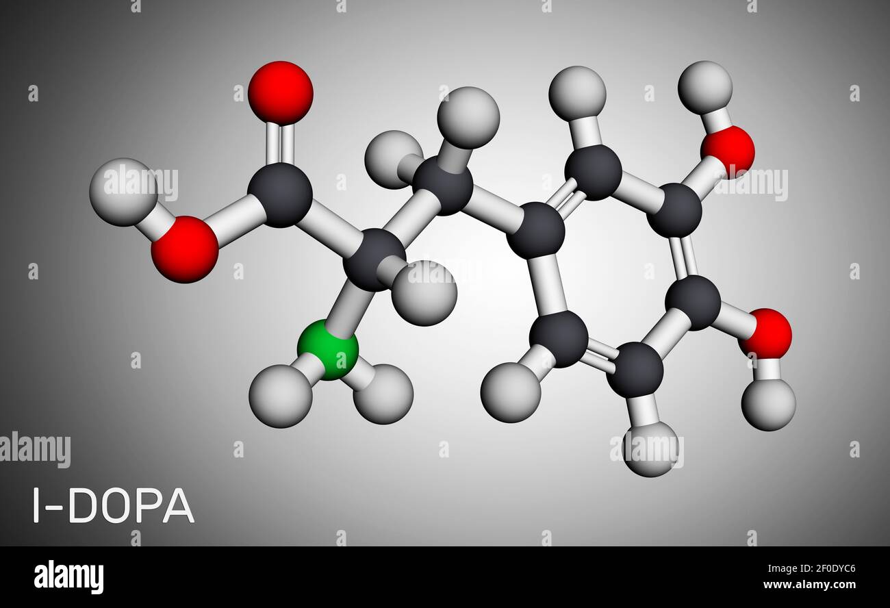 l-DOPA, Levodopa-Molekül. Es ist eine Aminosäure, wird verwendet, um Dopamin-Konzentrationen in der Behandlung der Parkinson-Krankheit zu erhöhen. Molekularmodell. Stockfoto