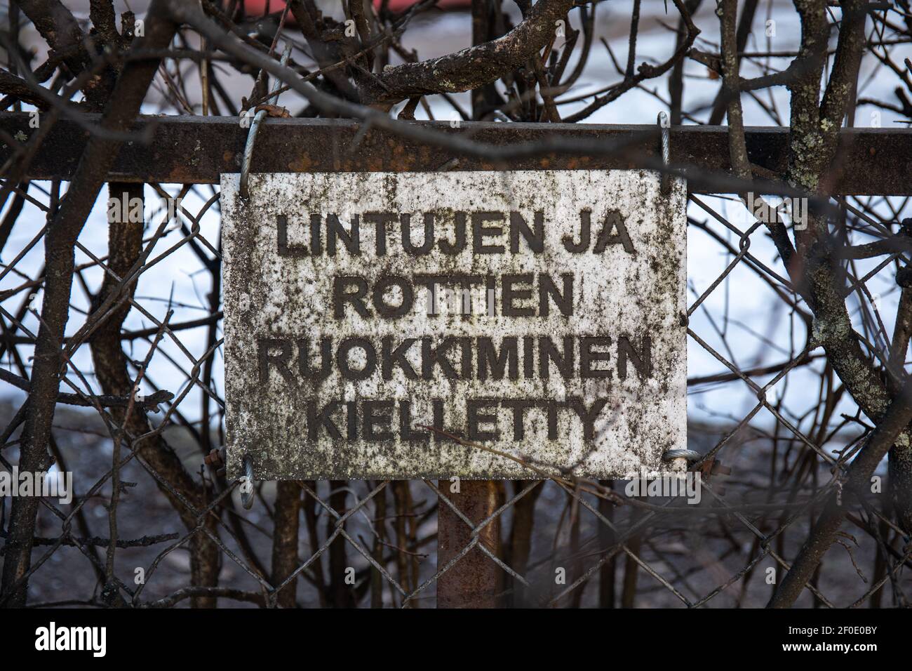 Lintujen ja rottien ruokkiminen kielletty. Fütterung von Vögeln und Ratten verboten. Altes schmutziges Schild, das am Zaun in Munkkiniemi, Helsinki, Finnland hängt. Stockfoto