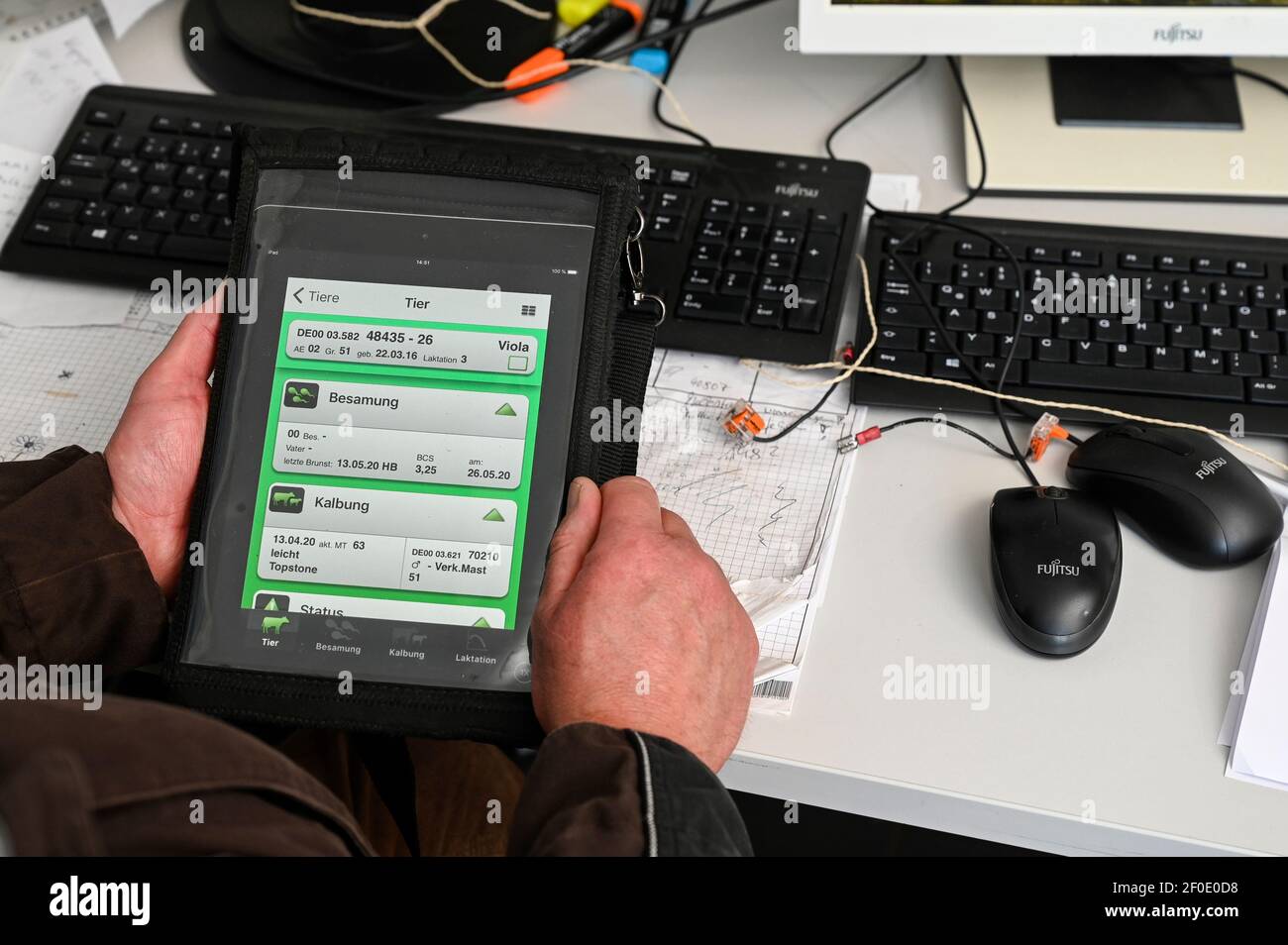 DEUTSCHLAND, ECHEM, Smart Molkerei Kuhmilchfarm, KI-Nutzung und Digitalisierung der Landwirtschaft / DEUTSCHLAND, Landwirtschaftliches Bildungszentrum (EBZ) in ECHEM, Digitalisierung im Kuhstall und Melkstand, Datenverarbeitung mit Computer und Tablet Stockfoto