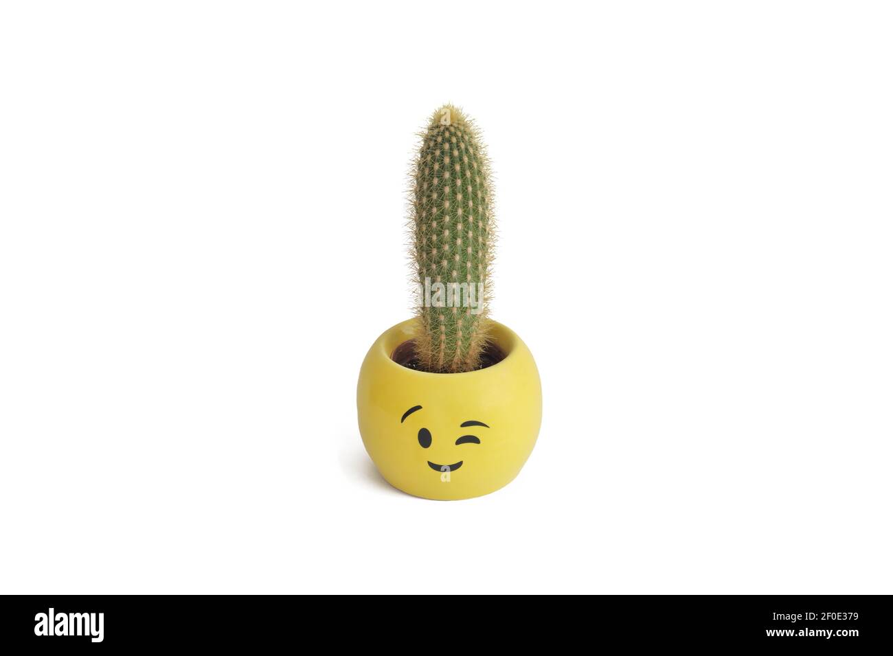 Kaktus in EINEM Yellow Pot mit Smiley Gesichtsausdruck gepflanzt, isoliert auf weißem Hintergrund Stockfoto