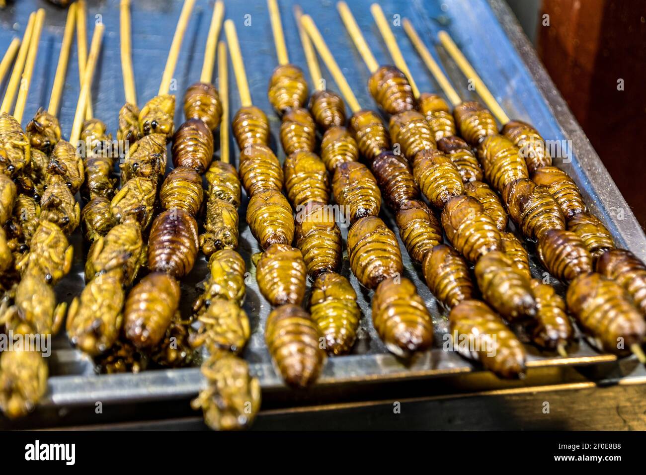 Peking, China. 2nd. Juni 2017. Der Donghuamen Nachtmarkt ist voll von Einheimischen und Touristen, die für abenteuerliches Street Food kommen Stockfoto
