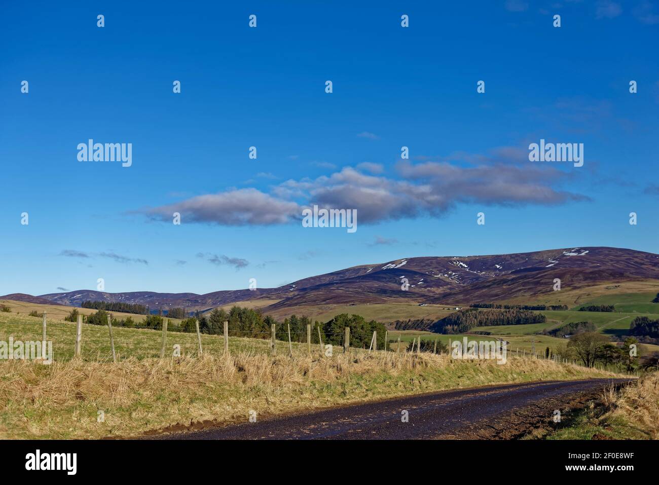An einem Bright Winters Morning im Februar führt eine kleine schottische Straße durch die Felder und die Landschaft von Glen Lethnot im Angus Glens. Stockfoto